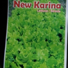 selada-new-karina